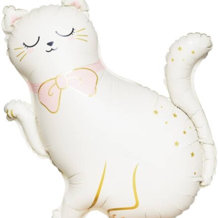 Balon pisicuță folie