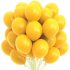 изображение_viber_2025-01-21_18-51-41-620